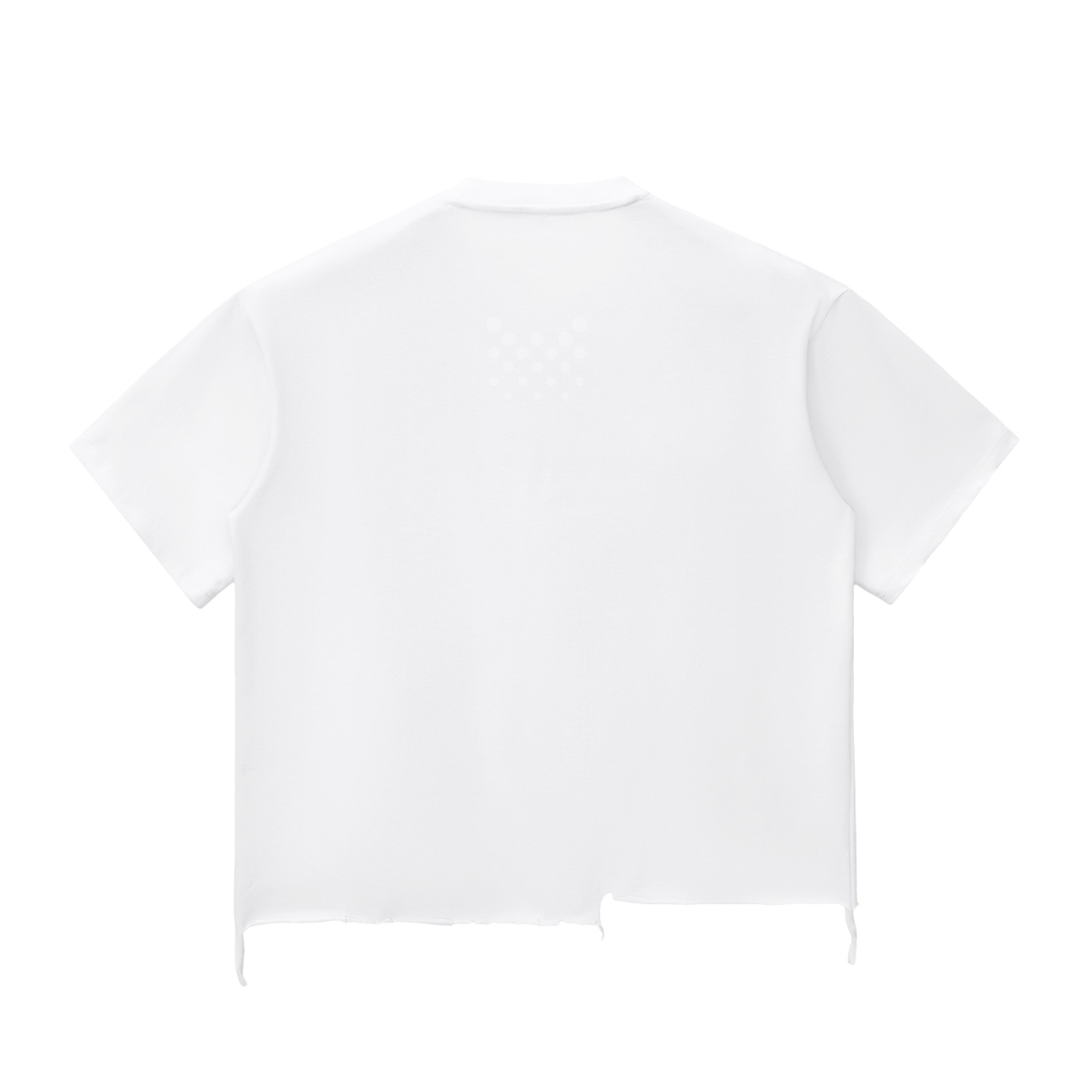 Snow Wash Raw-Hem Boxy T-shirt